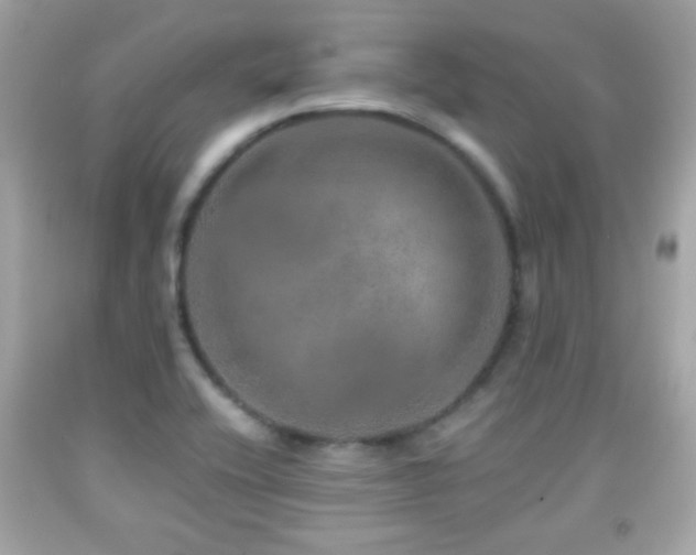 X0000092081416200709121435