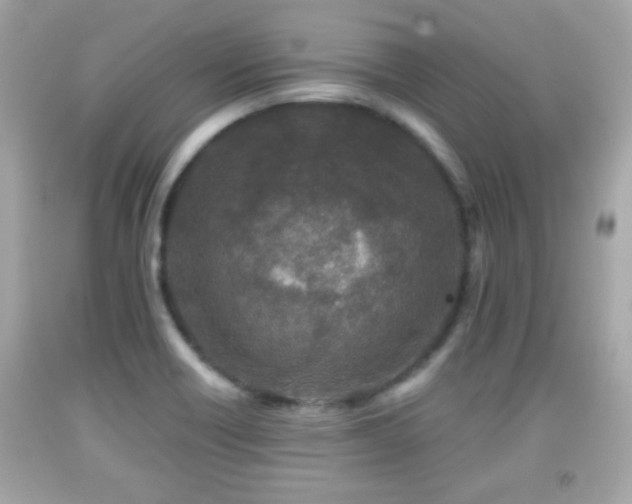 X0000092081418200709121435