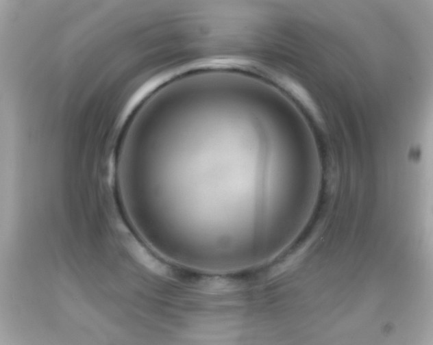 X0000092081420200709121435