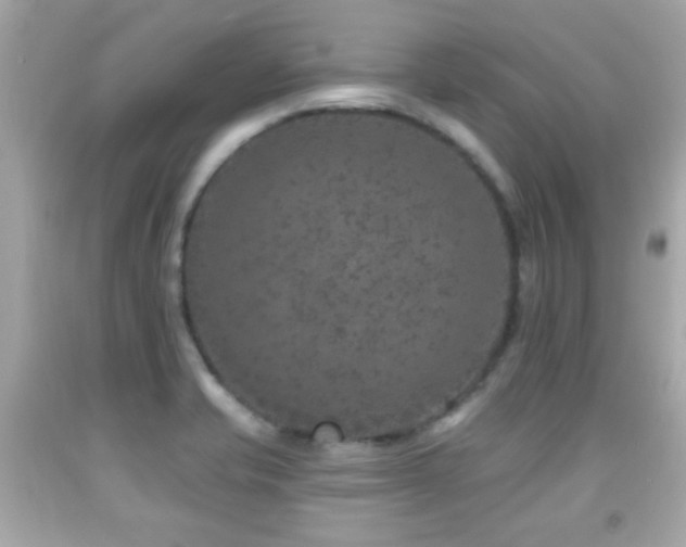 X0000092081421200709121435
