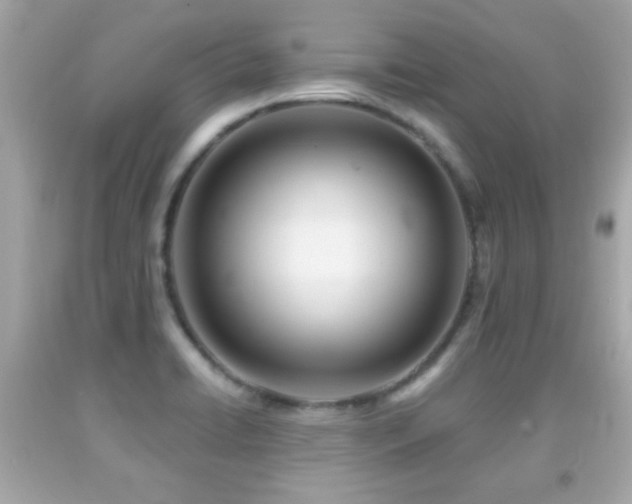 X0000092081422200709121435