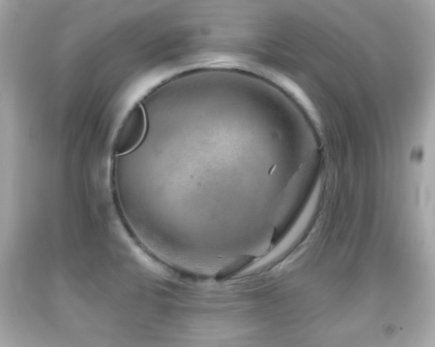 X0000092081424200709121435