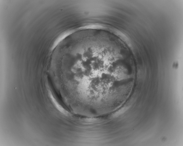 X0000092081425200709121435