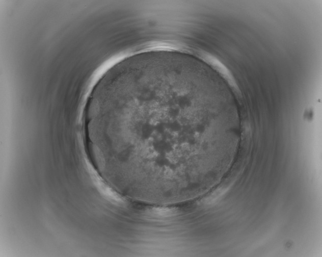 X0000092081427200709121435