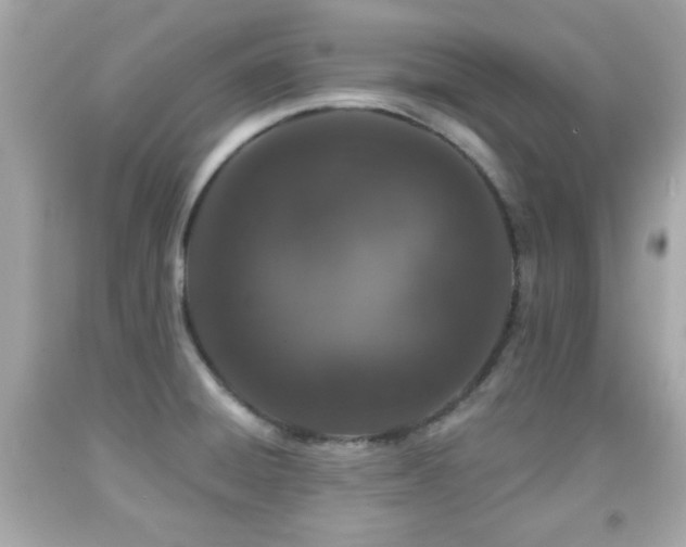 X0000092081428200709121435