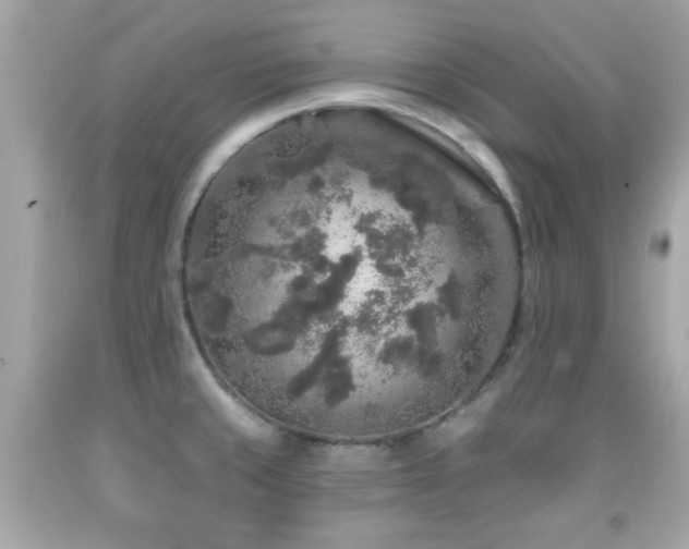 X0000092081429200709121435