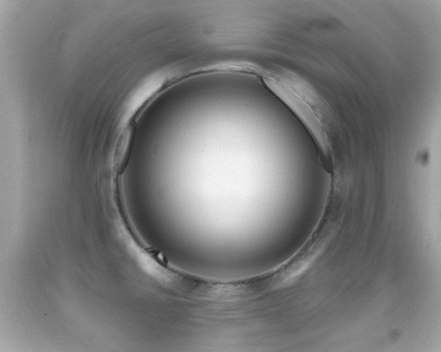 X0000092081430200709121435