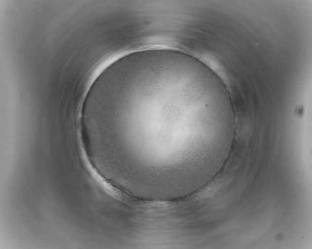 X0000092081431200709121435