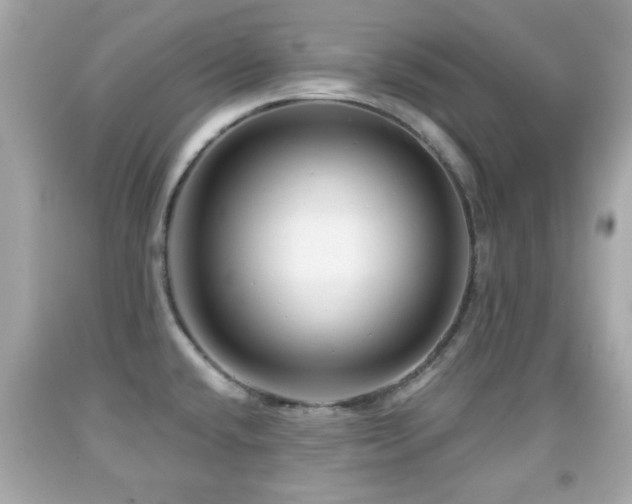 X0000092081432200709121435