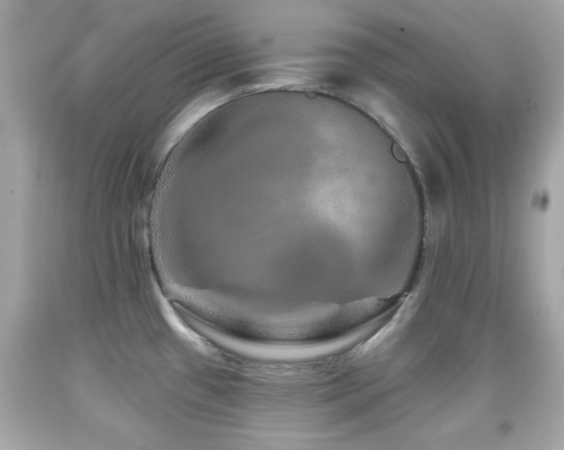 X0000092081433200709121435