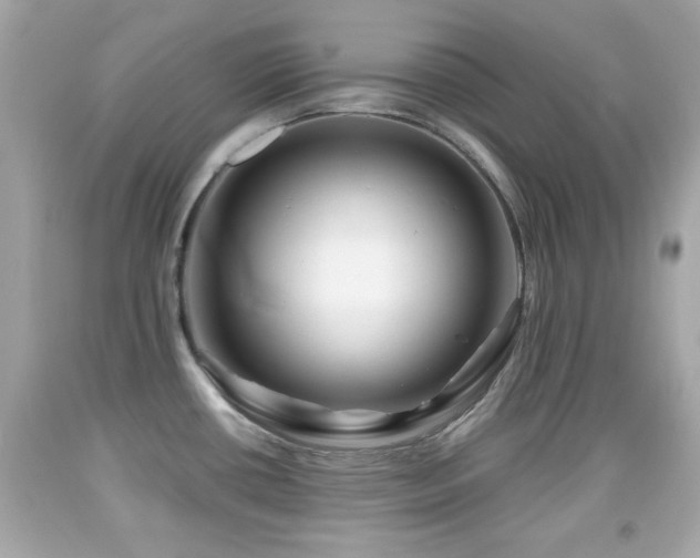 X0000092081434200709121435