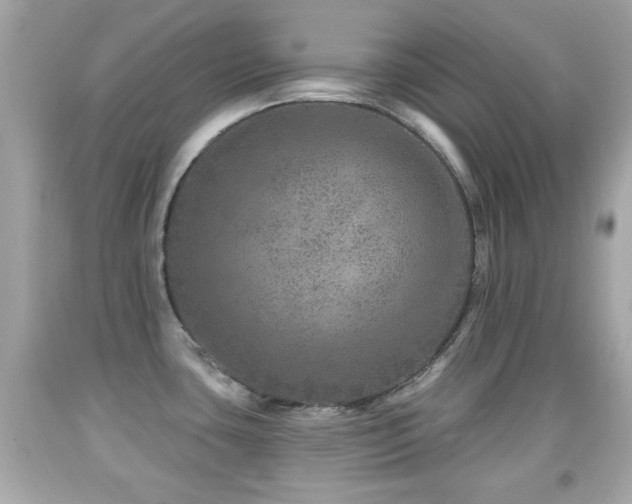 X0000092081435200709121435
