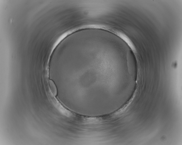 X0000092081436200709121435