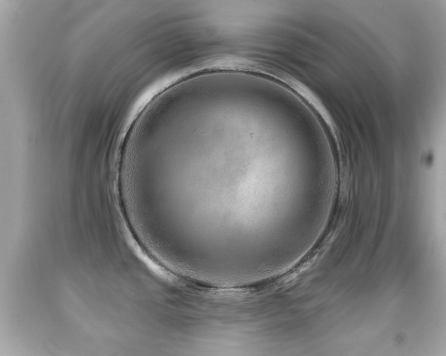 X0000092081437200709121435