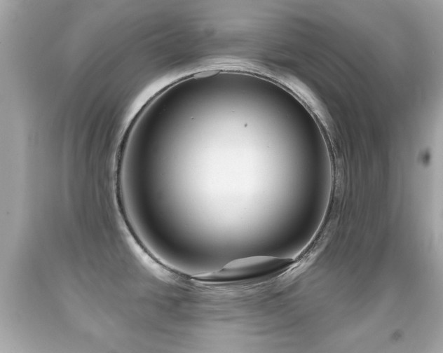 X0000092081438200709121435