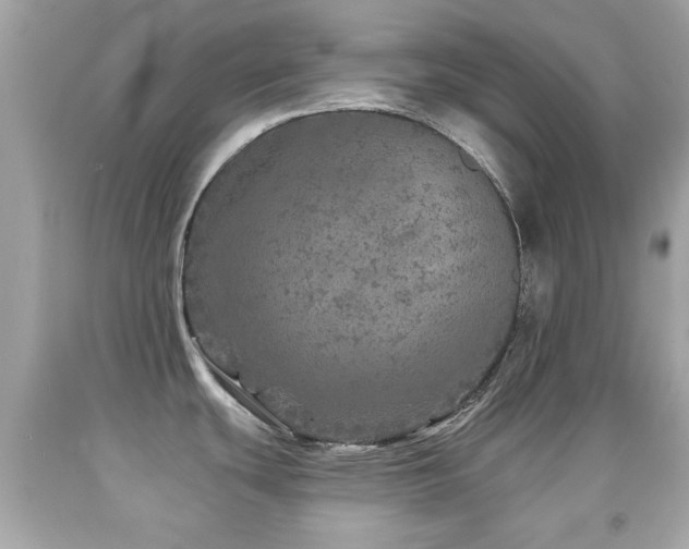 X0000092081439200709121435
