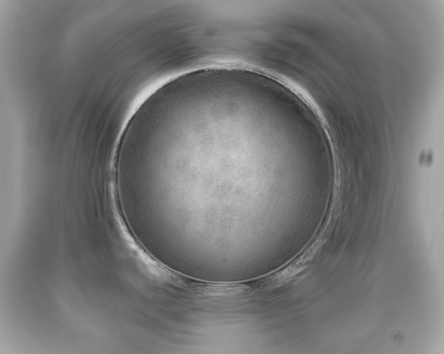 X0000092081440200709121435