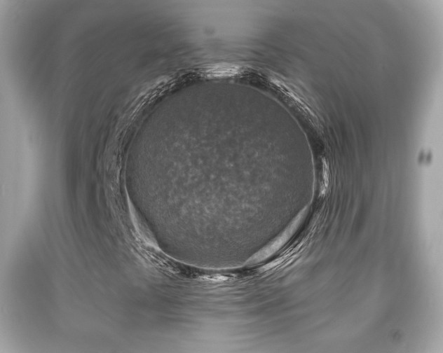 X0000092081441200709121435