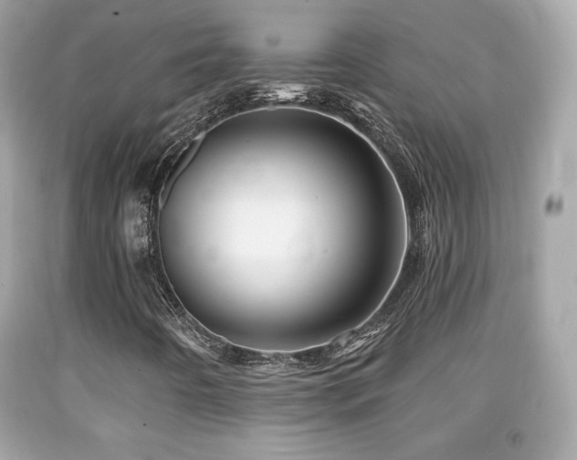 X0000092081442200709121435