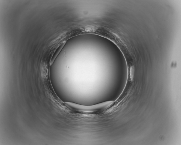 X0000092081443200709121435