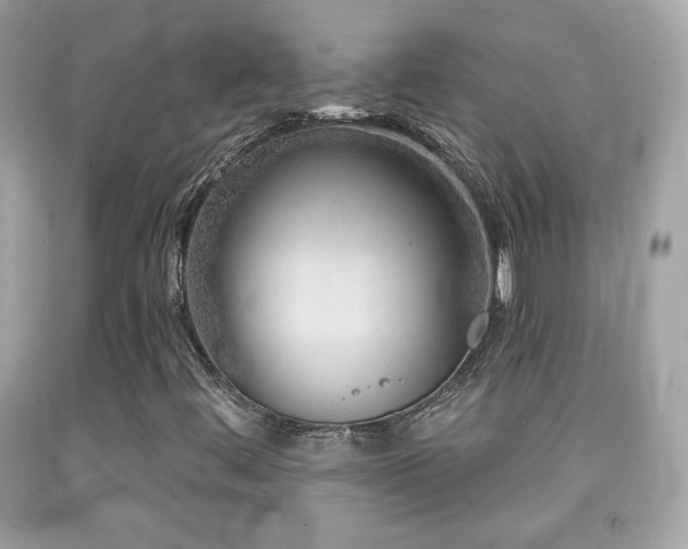 X0000092081444200709121435