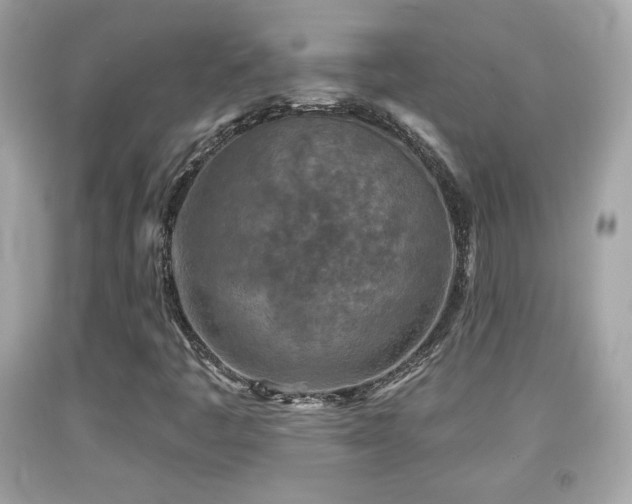 X0000092081445200709121435