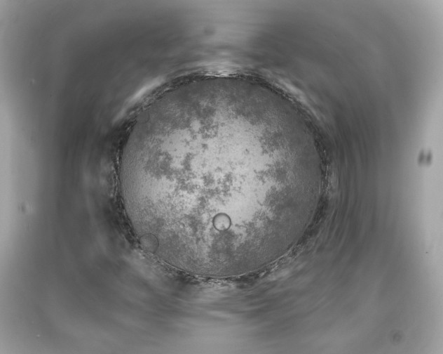 X0000092081446200709121435