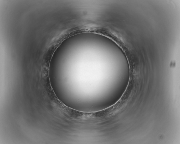 X0000092081447200709121435