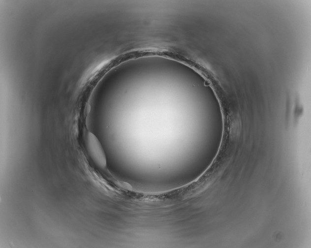 X0000092081448200709121435