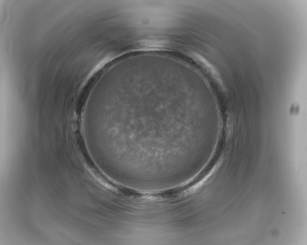 X0000092081449200709121435