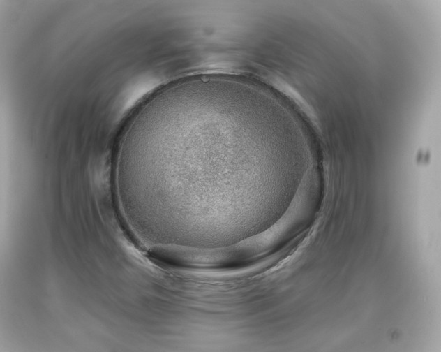 X0000092081450200709121435
