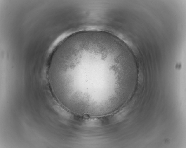 X0000092081454200709121435