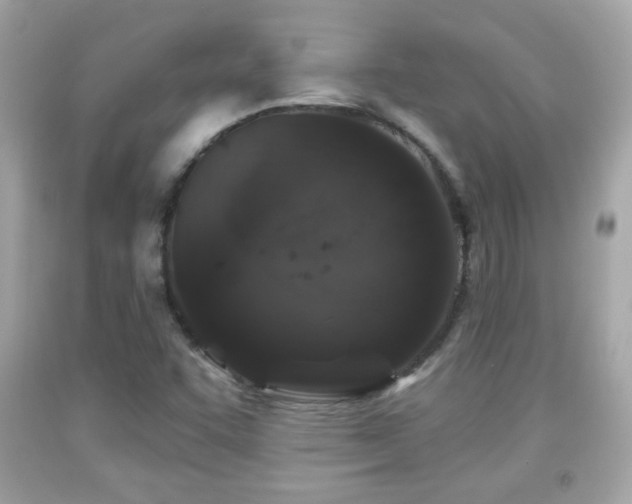 X0000092081455200709121435