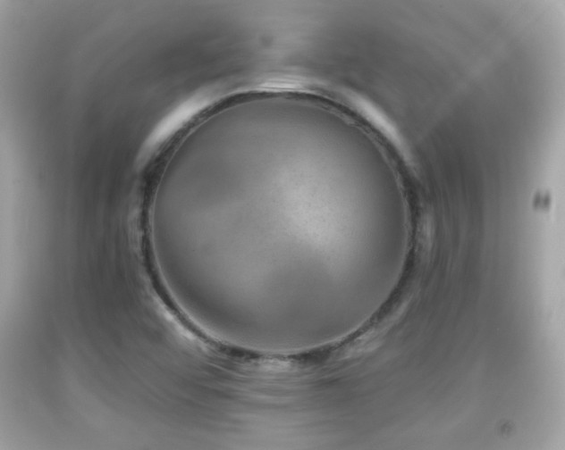 X0000092081456200709121434