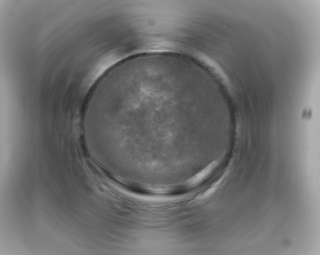 X0000092081457200709121434