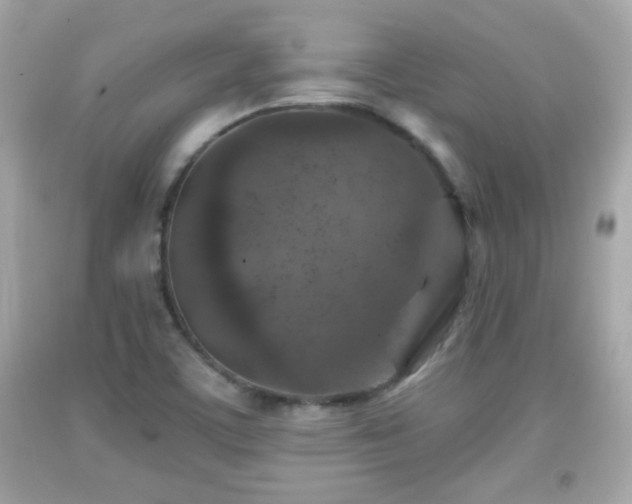 X0000092081459200709121434
