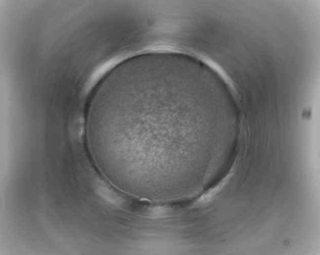 X0000092081461200709121434