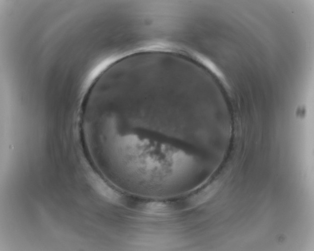 X0000092081463200709121434
