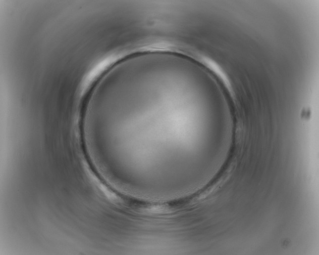 X0000092081464200709121434