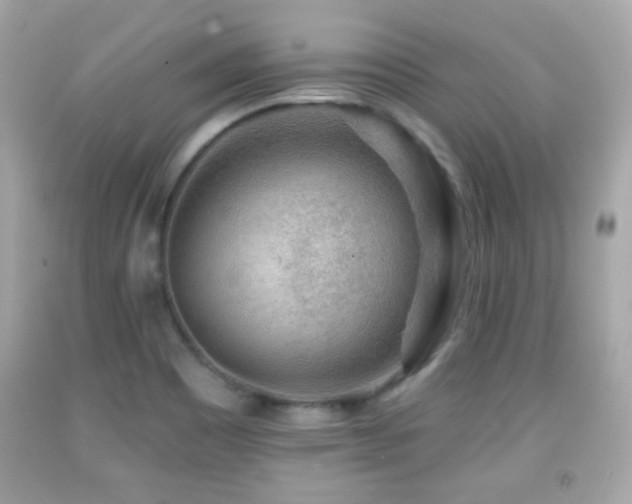 X0000092081465200709121434