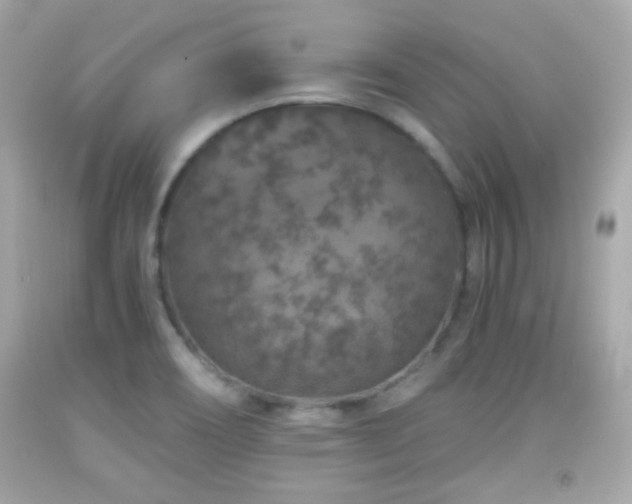 X0000092081466200709121434