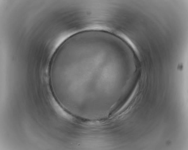 X0000092081468200709121434