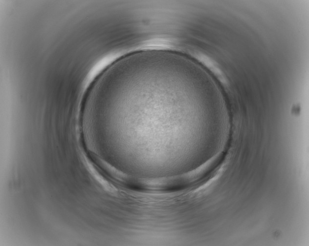 X0000092081469200709121434