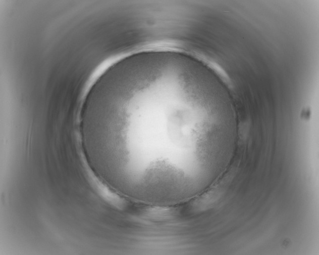 X0000092081470200709121434
