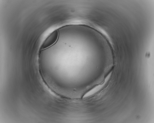 X0000092081472200709121434