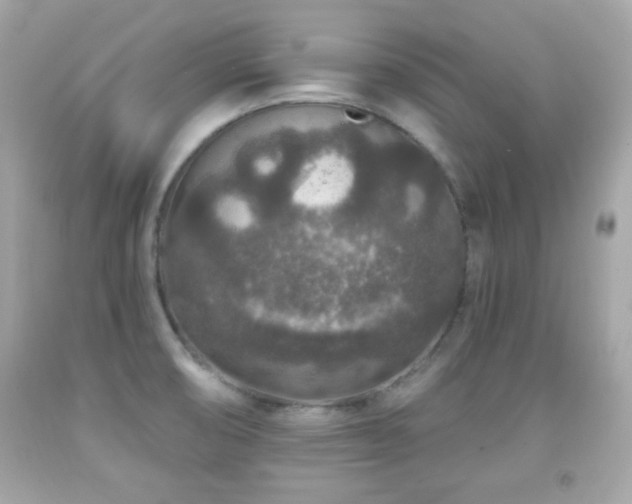 X0000092081474200709121434