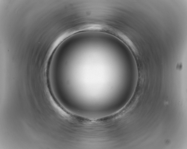 X0000092081475200709121434