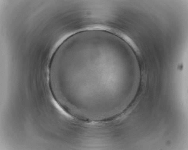 X0000092081476200709121434