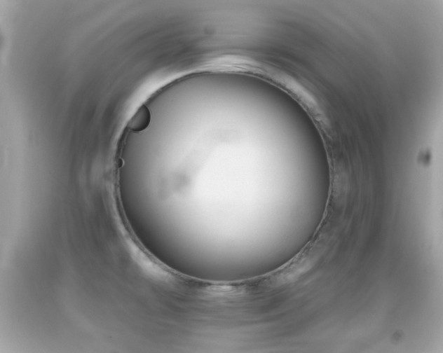 X0000092081478200709121434