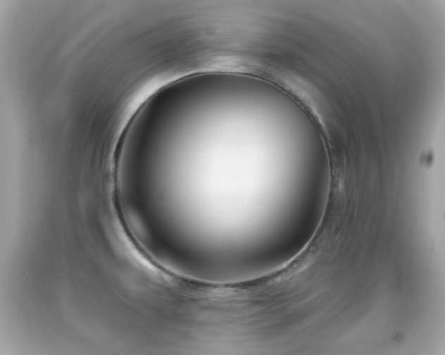 X0000092081479200709121434